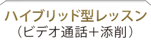 ハイブリッド型レッスン（ビデオ通話＋添削）