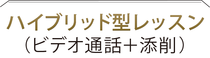 ハイブリッド型レッスン（ビデオ通話＋添削）