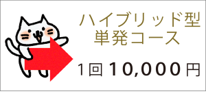 「ハイブリッド型単発コース」→１回10000円