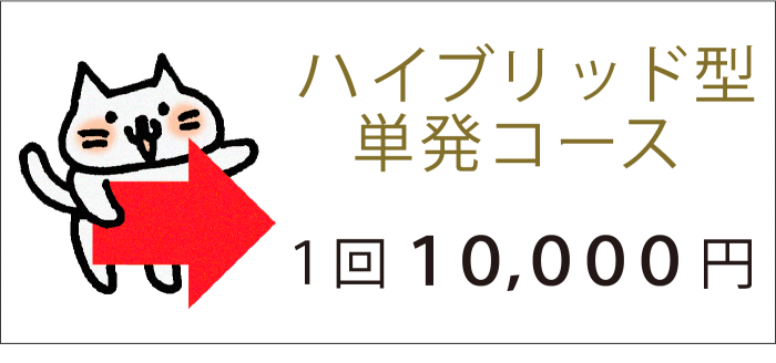「ハイブリッド型単発コース」→１回10000円