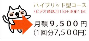 「ハイブリッド型（ビデオ通話月1回＋添削1回）コース」→月額9500円（1回分7500円）