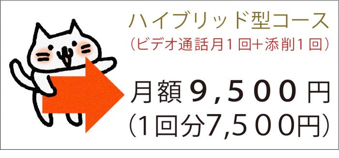 「ハイブリッド型（ビデオ通話月1回＋添削1回）コース」→月額9500円（1回分7500円）